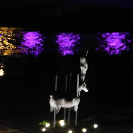 Old Garden Bed and breakfast