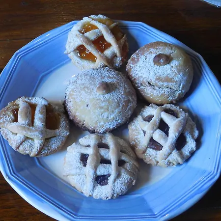 Old Garden Bed and breakfast