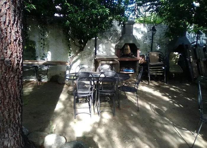 Old Garden 科森扎