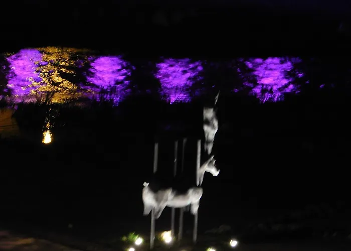 Old Garden 住宿加早餐酒店
