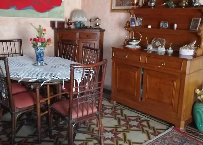 Old Garden 科森扎