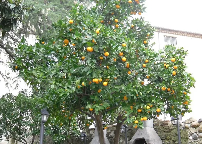 住宿加早餐酒店 Old Garden