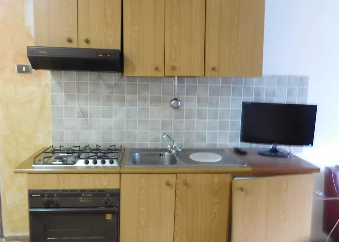 Old Garden 科森扎