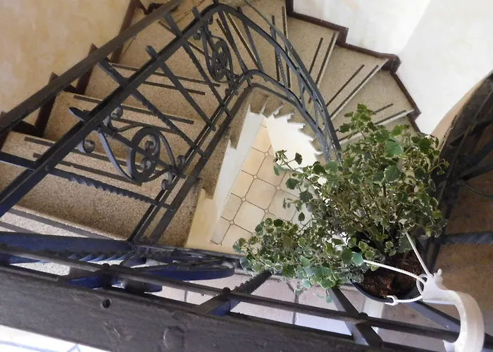 Old Garden 3* 科森扎