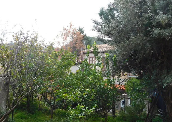 Old Garden 住宿加早餐酒店 3*