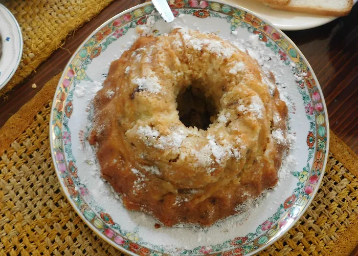 Old Garden 科森扎