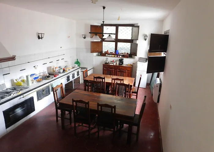 Old Garden 科森扎